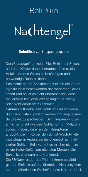 Nachtengel Flyer